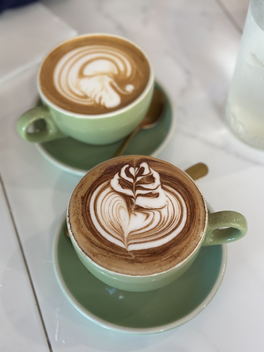 Duck Duck Moose Photos 2